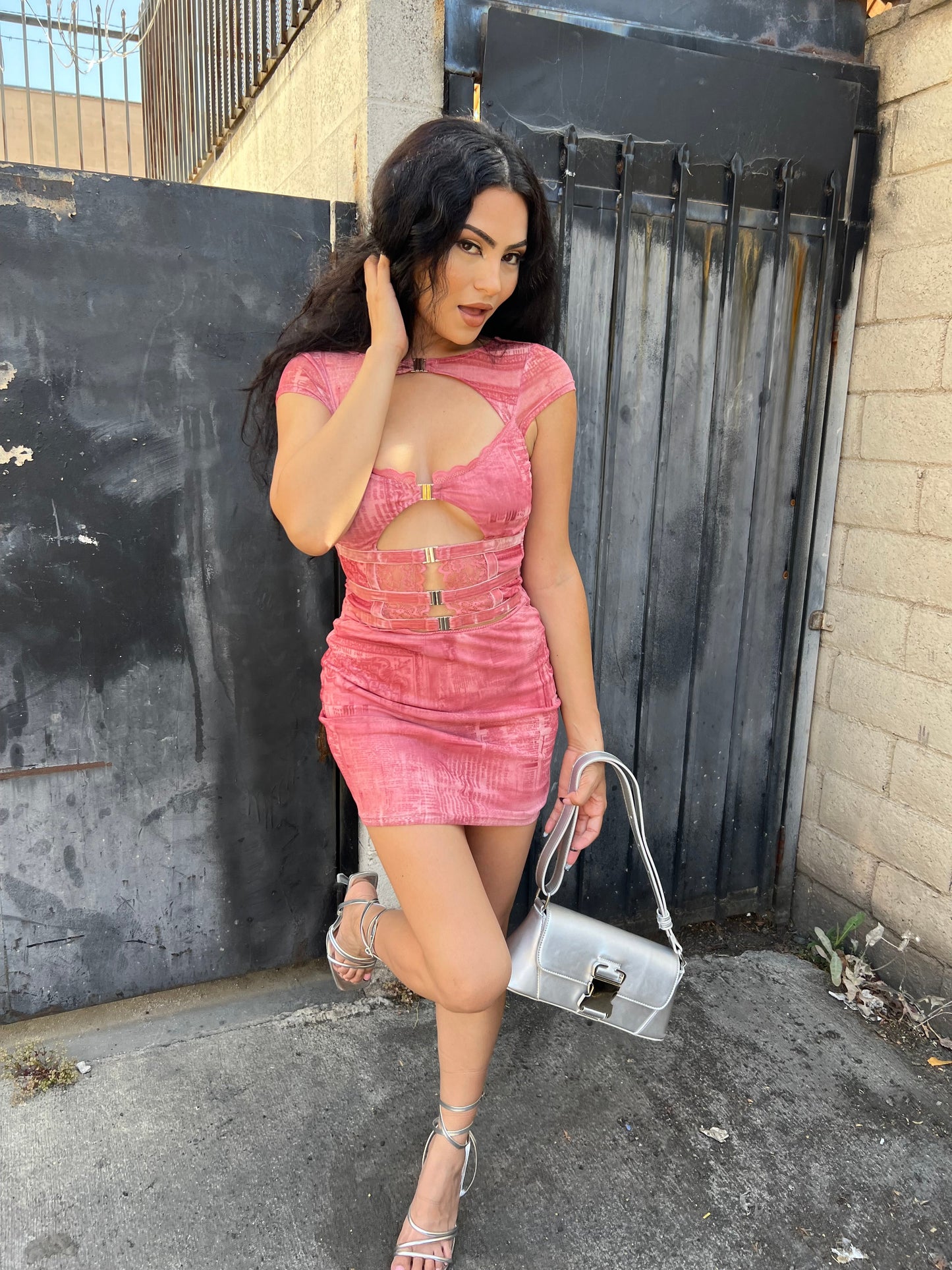 Pink Mesh Cutout Printed Dress Mini